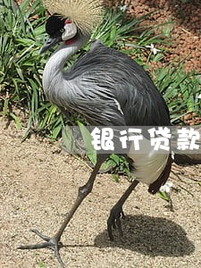 银行贷款逾期 催收 银行贷款逾期 催收